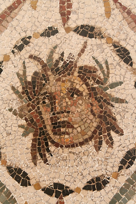 Musée du Bardo-111